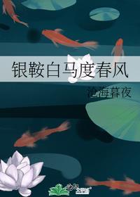 银鞍白马度春风txt番外