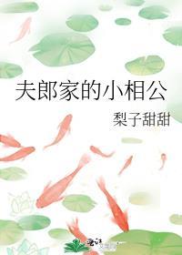 夫郎家的小相公免费阅读