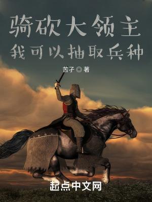 骑砍大领主我可以抽取兵种笔