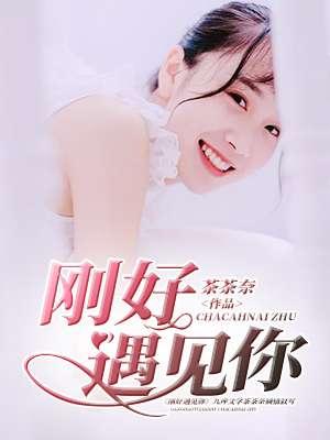 刚好遇见你李玉刚歌词
