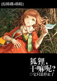 狐狸狐狸干嘛呢韩语儿歌