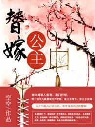 替嫁公主南之下TXT最新章节