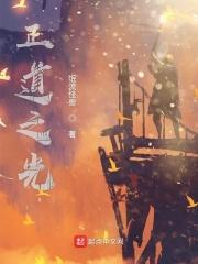 我真是正道的光