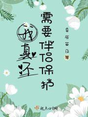 我真不需要伴侣保护