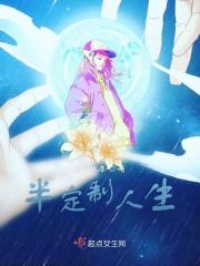 半定制人生