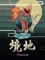 来自异世界的境地