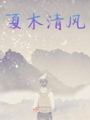 夏木清风