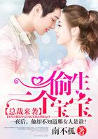 总裁来袭:偷生一个宝宝