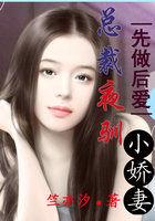 先做后爱:总裁夜驯小娇妻