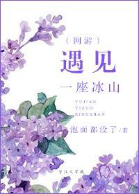 遇见一座冰山（网游）