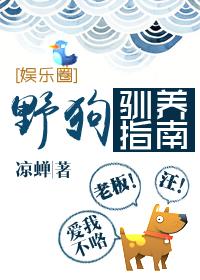 野狗驯养指南