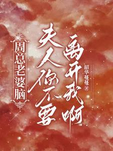 周总老婆脑，夫人你不要离开我啊