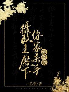 摄政王殿下,你家杀手缺根筋!