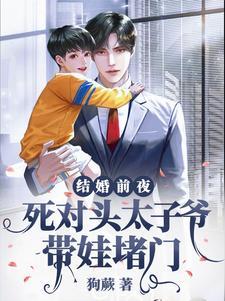 结婚前夜,死对头太子爷带娃堵门