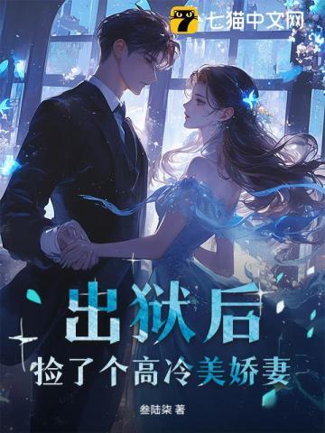 出狱后，捡了个高冷美娇妻