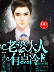 陆少专宠:老婆大人有点冷