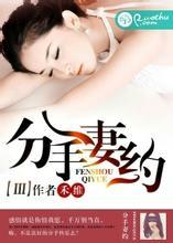 分手妻约