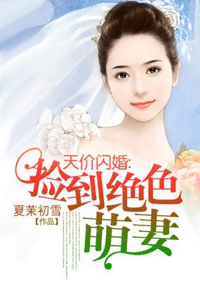 天价闪婚:捡到绝色萌妻