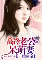 一胎两宝:高冷老公呆萌妻