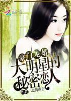 豪门宠婚:大明星的秘密恋人