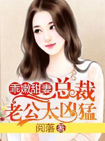 小说苏红珊韩大壮