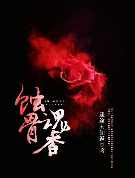 前途无妻：顾先生，请止步