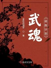 武魂修炼计划