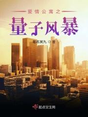 爱情公寓之量子风暴