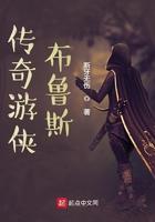 传奇游侠布鲁斯