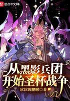 从黑影兵团开始圣杯战争