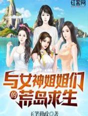 与女神姐姐们的荒岛求生