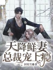 天降鲜妻：总裁宠上瘾