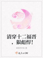 清穿十二福晋,狠彪悍!